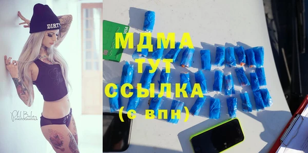 индика Арсеньев