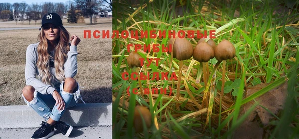 индика Арсеньев