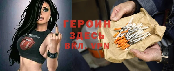 индика Арсеньев