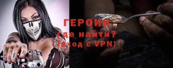 индика Арсеньев