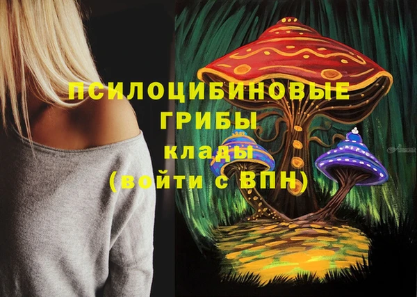 круглые Нефтекумск