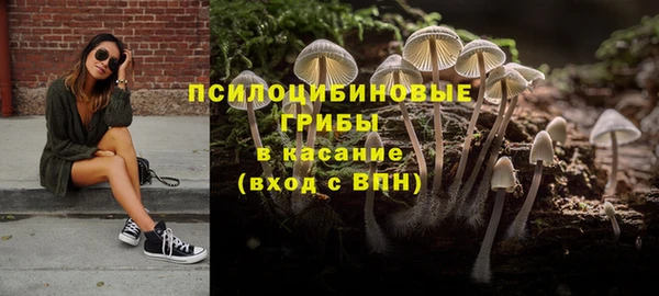дмт Армянск