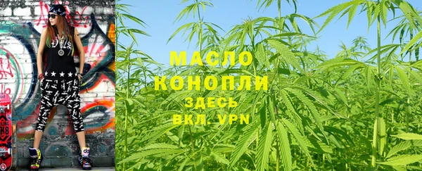 индика Арсеньев