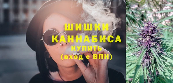 индика Арсеньев