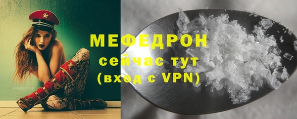 индика Арсеньев